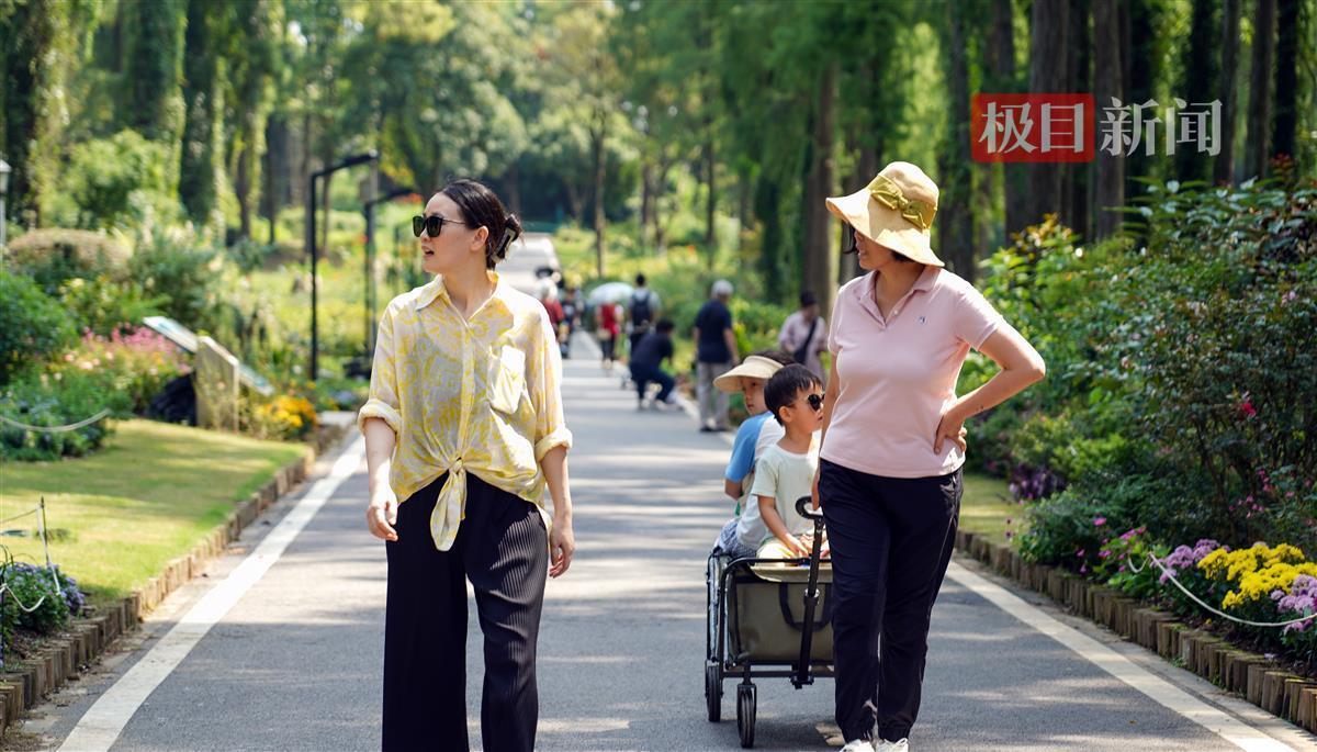 万利国际开户网